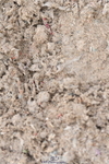 230511A-165126-01429