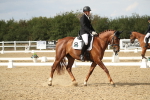SBM_003341