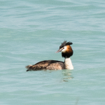 Lake Garda-32