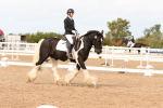 SBM_03851