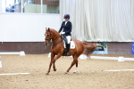 SBM_001993