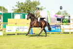 SBM_10931