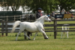 SBM_02391