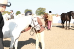 SBM_00051