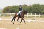 SBM_009894