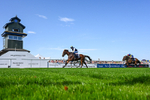 120826-Race 5-Ciao Capo-5183