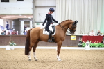 SBM_009196