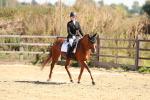 SBM_010665