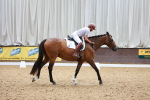 SBM_003904