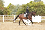 SBM_003687