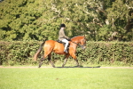SBM_38943