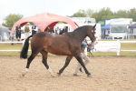 SBM_07893