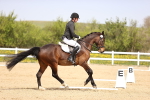 SBM_007533