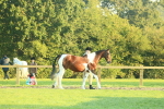 SBM_56502
