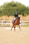 1I0A4310