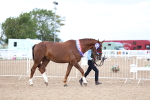 SBM_04003