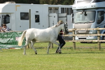 SBM_00795