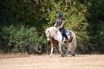 WJ6_9218