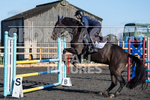 Senior Showjumping_10-11-2019-8