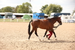 SBM_04634