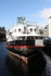The Daffodil 1