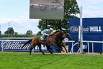 010826-Race 5-Asuka-3089