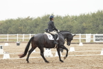 SBM_003994