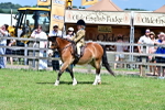 SBM_06116