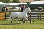 SBM_00631