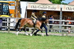 SBM_06442