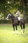 S66 - Hunter Ridden portfolio