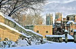 IMG_0826_SNOWY YORK