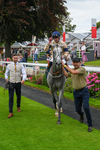 270724-Race 4-Greydreambeliever-9627