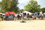 SBM_41387