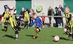 Kendal United U8 vs Trimpell U8 (25/2/24) portfolio