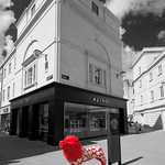 A 'Bath Lion', 2010