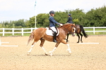SBM_000920