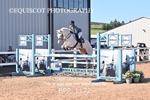 BPP_1172