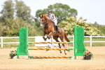 SBM_004371