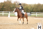 SBM_001953