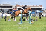BPP_8971