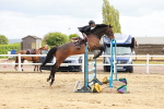 SBM_002503