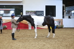 SBM_09797