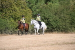 WJ6_7265