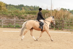 SBM_001472