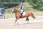 BPP_7263