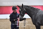 BPP_2547