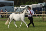 SBM_00549