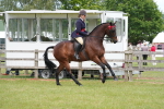 SBM_15983