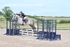 BPP_0823